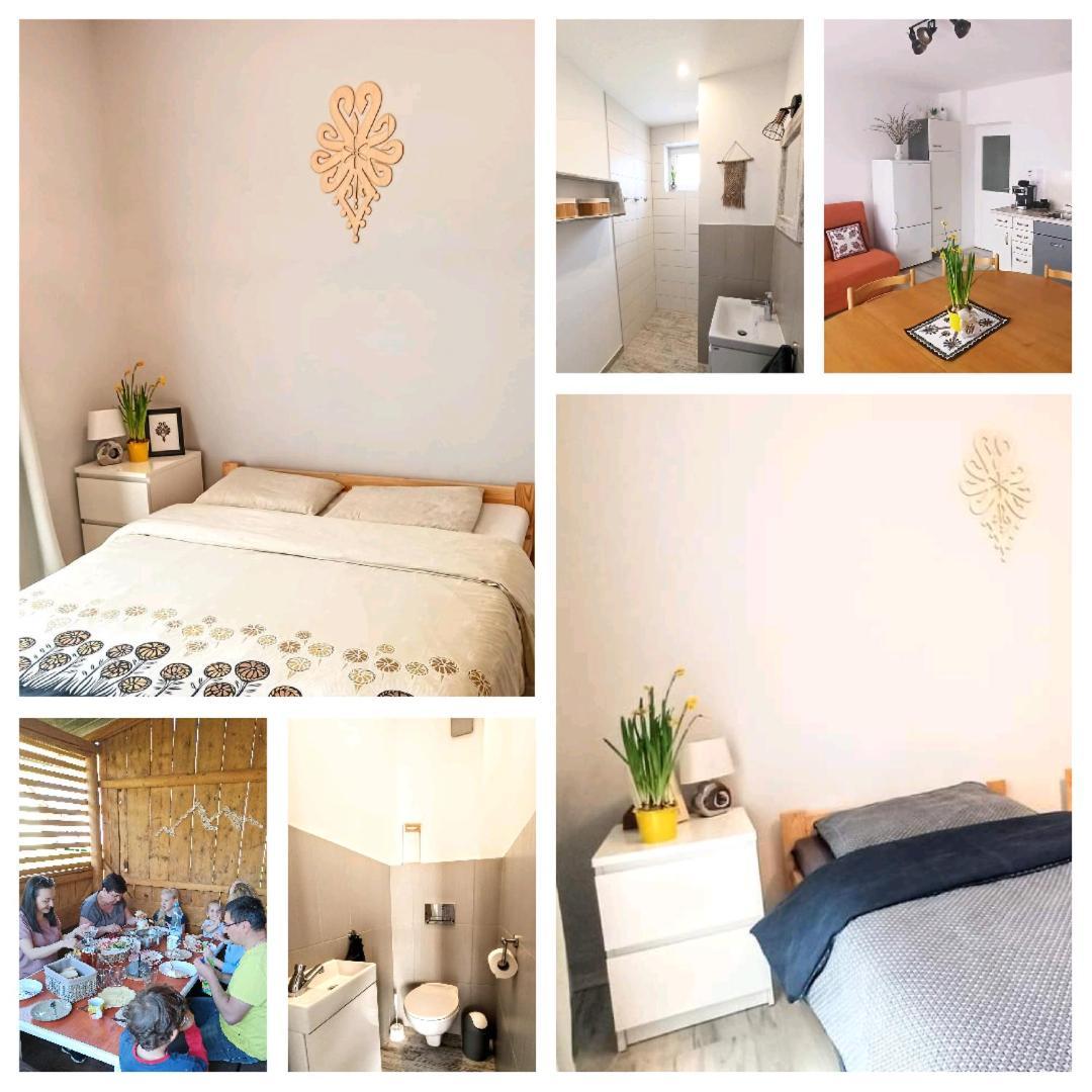Kwatera U Somsiada -Apartament Мушина Екстер'єр фото